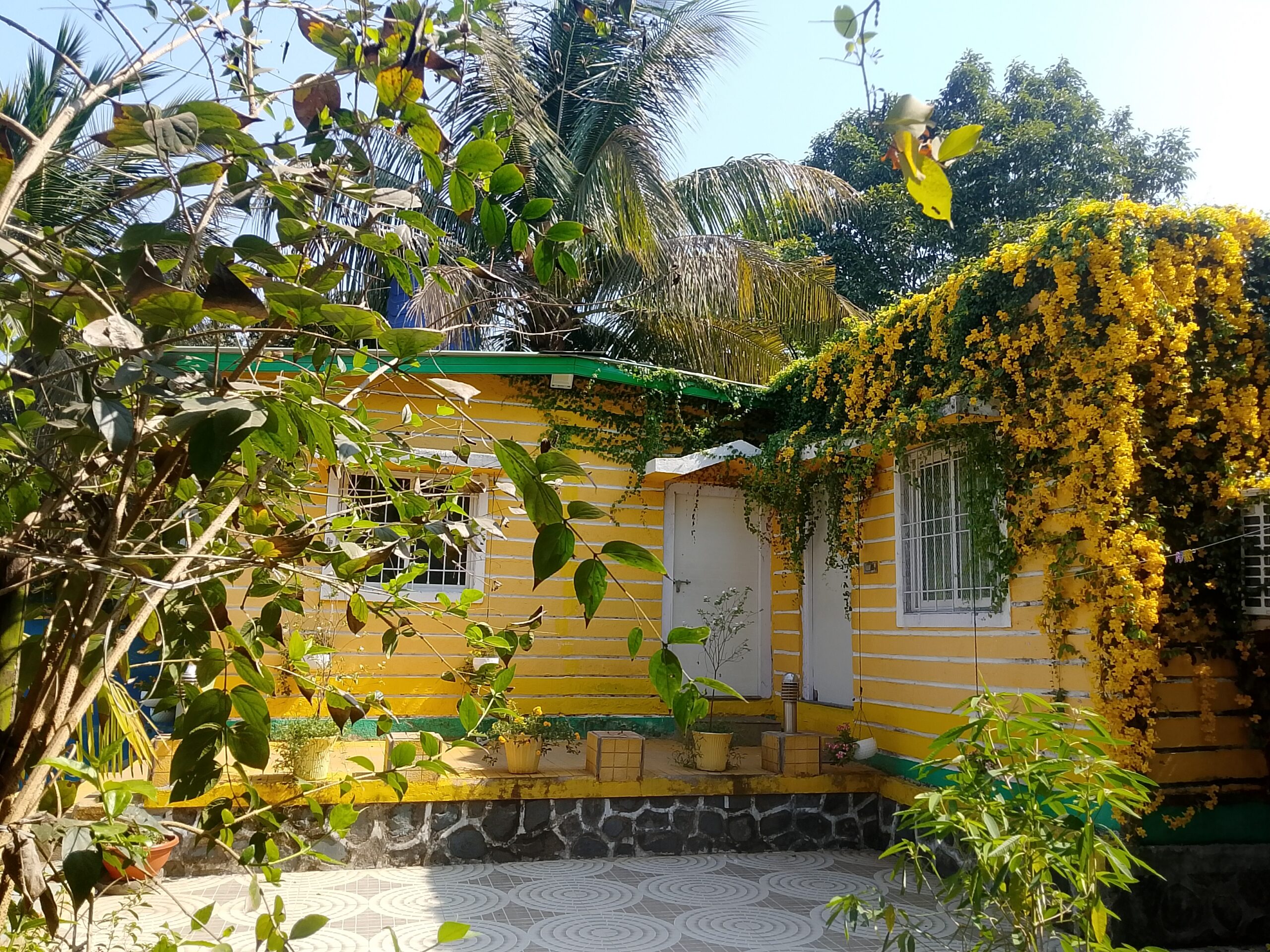 img 20260328 101147