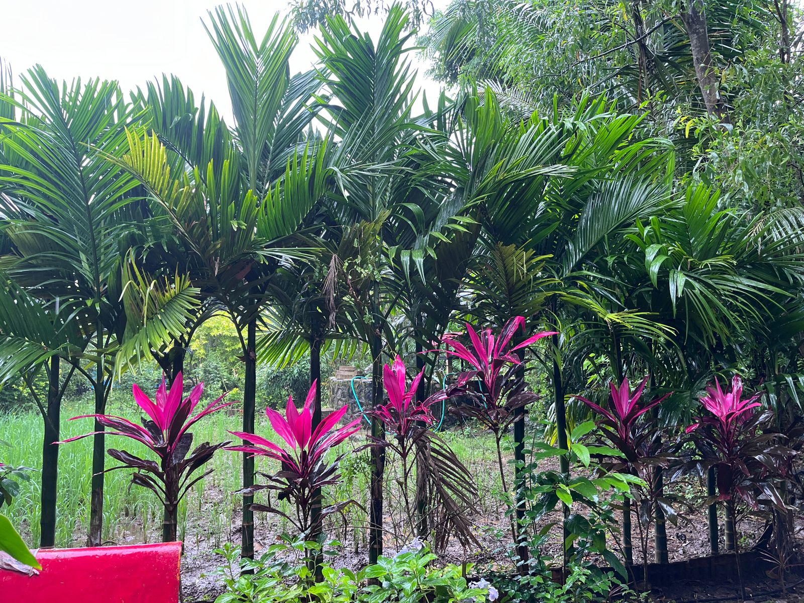whatsapp image 2026 07 01 at 9.33.12 pm (2)