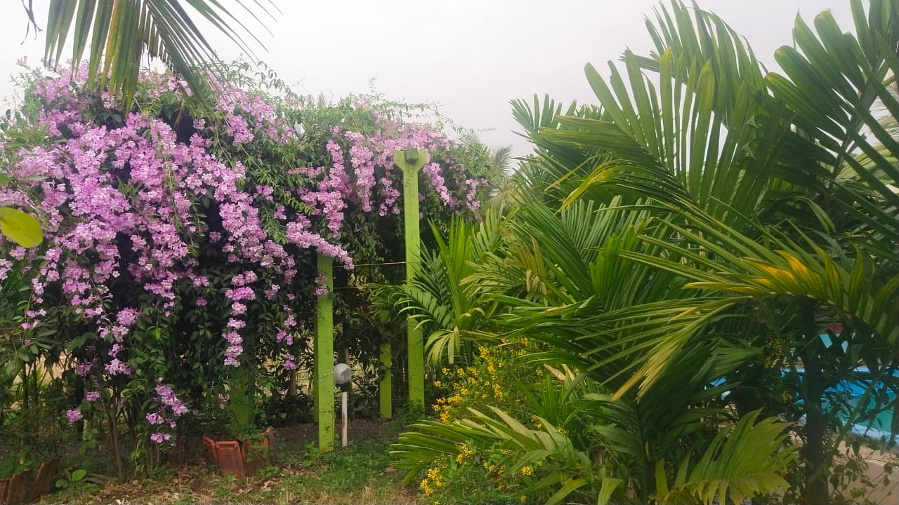 whatsapp image 2026 07 03 at 9.00.00 pm (2)